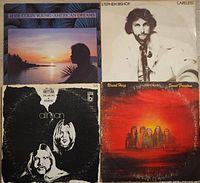 Four album covers: American Dreams, Careless, unidentified Allman LP, Sweet Freedom