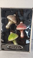 Front view of boxed set showing three mushroom ornaments