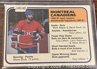 Front of trading card showing player image, O-Pee-Chee branding, team leaders text