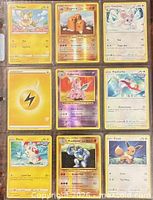 Front view of nine Pokémon cards in sleeve