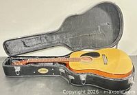 Guitar inside open molded case showing entire lot