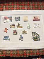 All fourteen magnets laid out on white tray