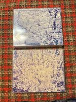 Two 8x10 flower photographs in sleeves, overall view