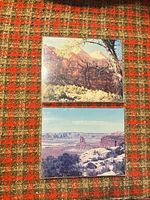 Both 8x10 color photographs on protective sleeves placed on patterned surface