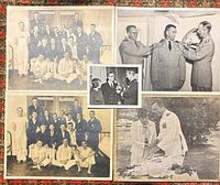 All five photographs laid out showing relative sizes and subjects
