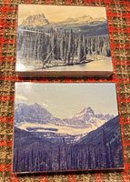 Front view of both 8x10 board-mounted photo prints on plaid surface