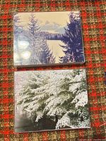 Both framed photographs on patterned surface