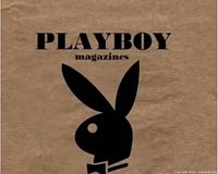 Front cover showing Playboy rabbit head logo on brown background