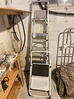 Werner ladder and one step ladder in storage area