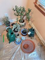 Overview of all plants, watering cans, trays and pots on floor