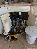 Overall view of lot under sink: trash can, paper towels, trash bags, cleaning bottles, baskets of tools