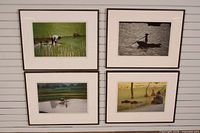 Wall display of four framed photographs