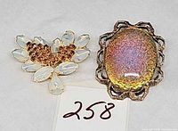 Both brooches together with lot number