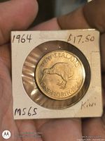 Reverse side with kiwi and 1964 date in 2x2 holder