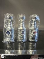 Front view of three sealed Stanley Cup mini trophies showing team logos