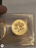 Reverse of coin showing Welsh dragon and ONE POUND text