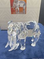 Crystal elephant figurine in front of its box