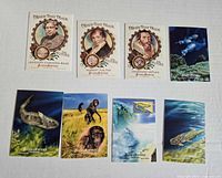 Fronts of all eight Allen & Ginter cards