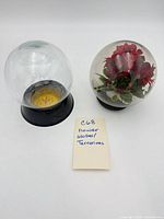 Two globe terrariums side by side, showing one empty with base and one filled with flowers