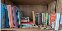 Books on shelf, showing hardcovers and stacks of thin picture books