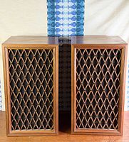 Front view showing both Pioneer CS-66 speakers side by side