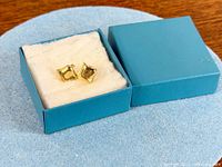 Earrings in box, frontal view