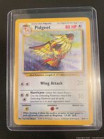 Front of Pidgeot holographic card in protective sleeve