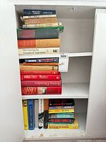 Full view of cabinet showing multiple stacked books on two shelves