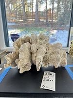 Front view of entire coral showing porous structure