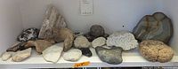 Shelf view showing full assortment of rocks, coral pieces, geode and agate
