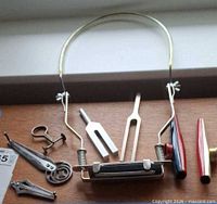 Full lot view showing harmonica in holder, tuning forks, jaw harps and kazoos