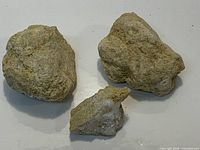 Three tan geode pieces displayed on flat surface
