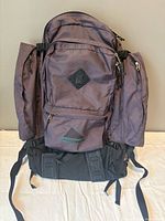 Front view of Kelty backpack showing compartments and logo
