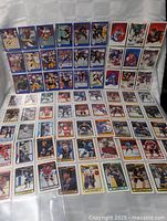 Full layout of approximately 72 cards in plastic pages, showing mix of hockey and football cards.