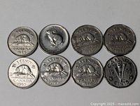 Eight Canadian 5-cent coins laid out showing reverse designs and dates