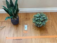 Both artificial plants on floor with measurement tape showing relative height