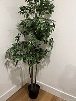 Full view of artificial ficus tree showing pot and height