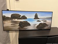 Full view of framed seascape painting on cabinet