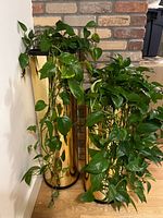 Both gold-tone planters with pothos plants