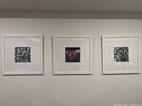 All three framed aerial prints mounted on wall