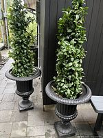 Two black cast iron urn planters with artificial topiary side by side