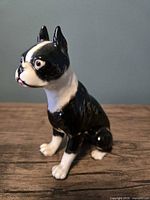 Front left view of black and white porcelain Boston Terrier figurine seated
