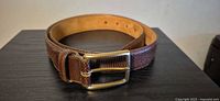 Full view of brown leather belt coiled showing brass buckle