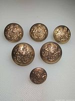 Front view of all six brass buttons showing crest design and size variation