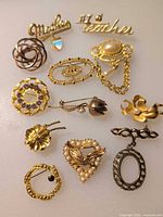 All 12 brooches and pins displayed together