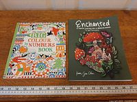 Front covers of both colouring books with ruler for scale