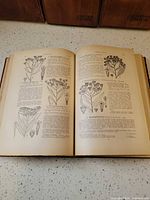 Interior pages displaying botanical illustrations and text