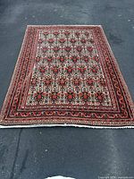 Full view of rug showing pattern, borders and fringe