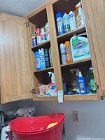 Open kitchen cabinet containing multiple cleaning products; red plastic bucket with sponges in foreground
