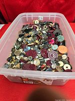 Top view showing quantity and variety of buttons in the tub